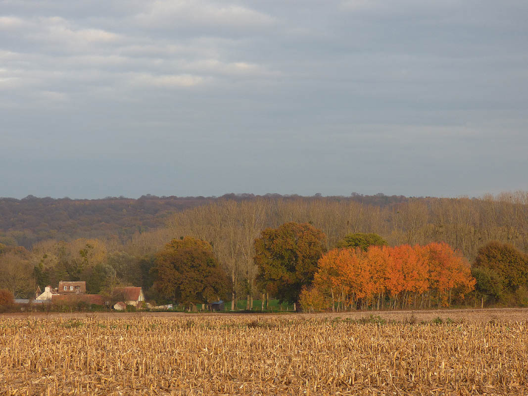 Vallée de l'Ysieux (novembre 2015)